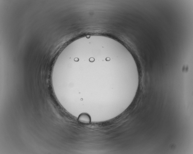 X0000111230115200907161326