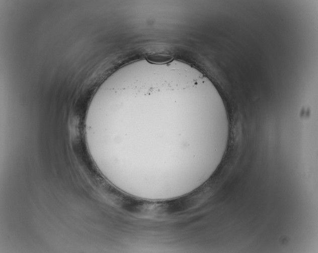 X0000111230117200907161326