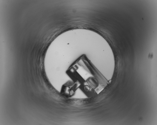 X0000111230121200907161326