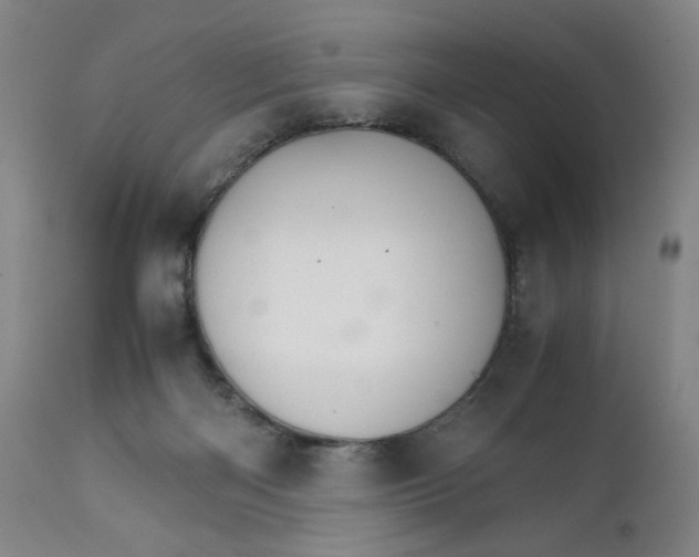 X0000111230122200907161326