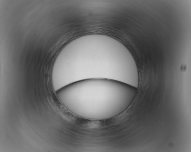 X0000111230124200907161326