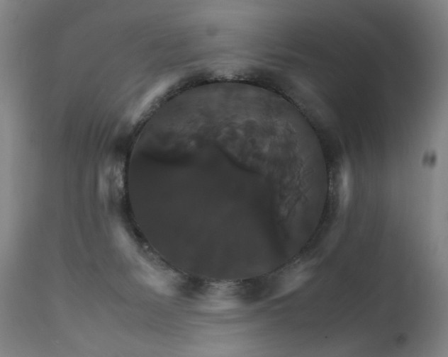 X0000111230127200907161326