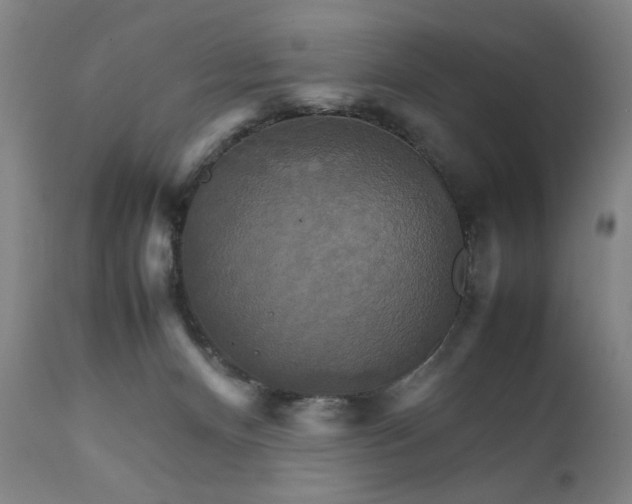 X0000111230128200907161326
