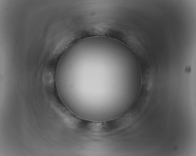 X0000111230131200907161326