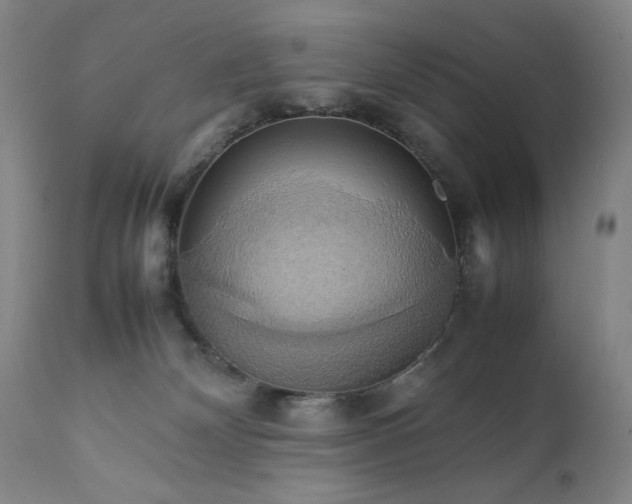 X0000111230132200907161326