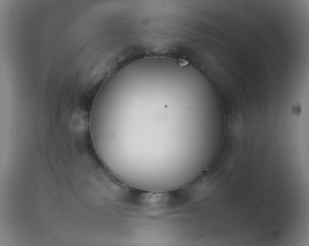 X0000111230135200907161326