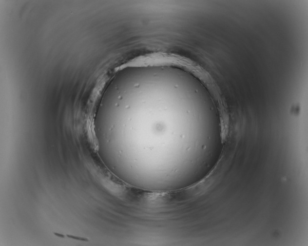 X0000111230136200907161326