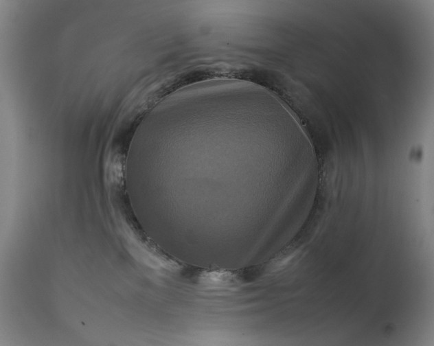 X0000111230137200907161326