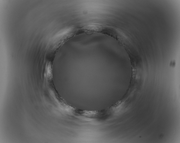 X0000111230143200907161326