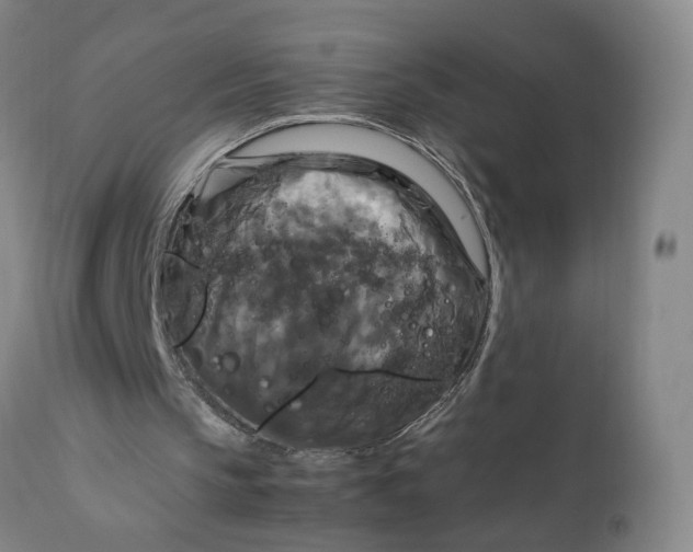 X0000111230145200907161325