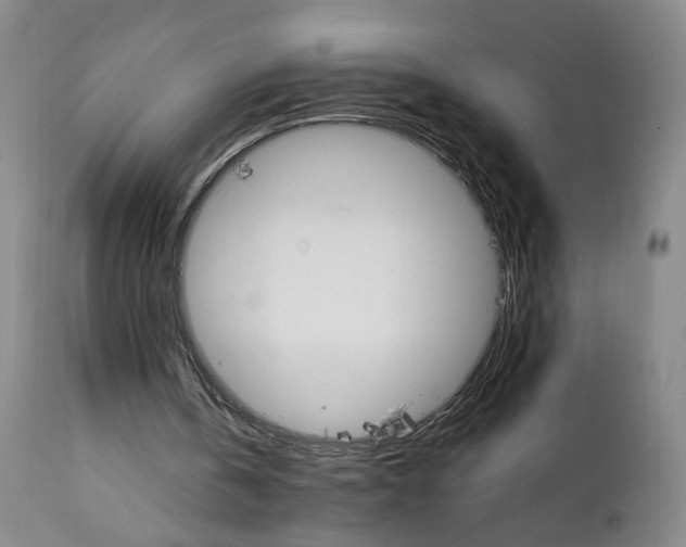 X0000111230146200907161325