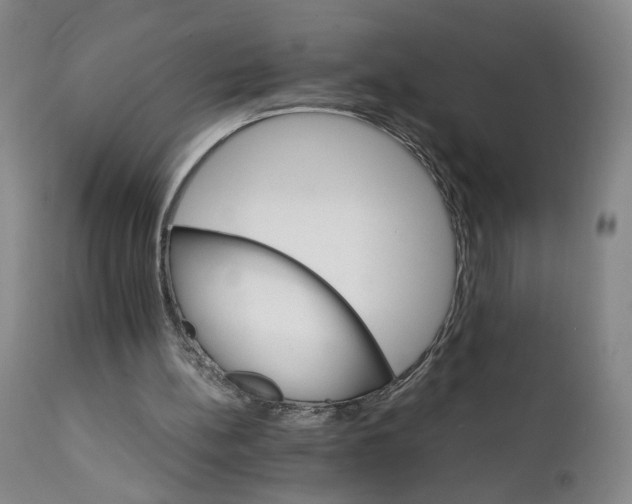 X0000111230148200907161325