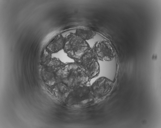 X0000111230149200907161325