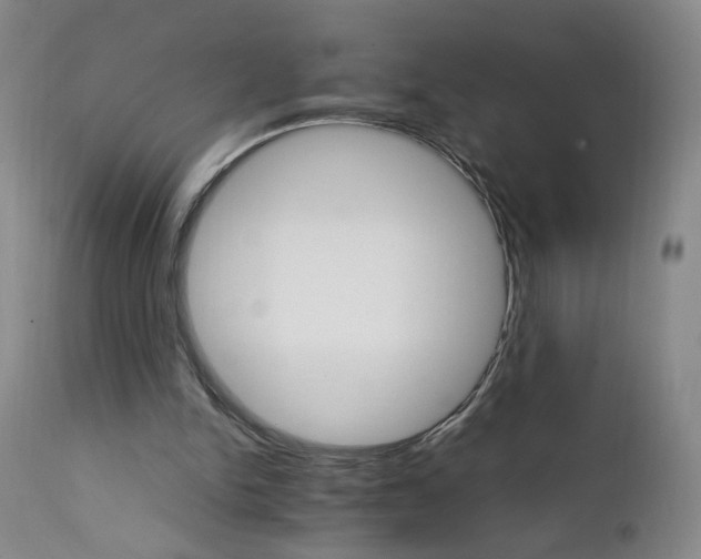 X0000111230150200907161325