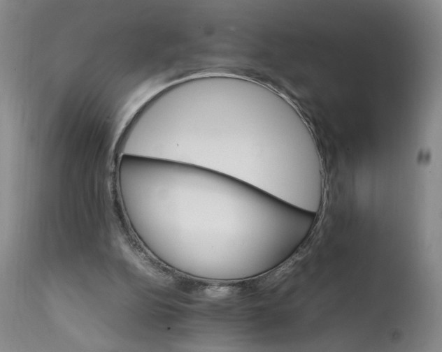 X0000111230152200907161325