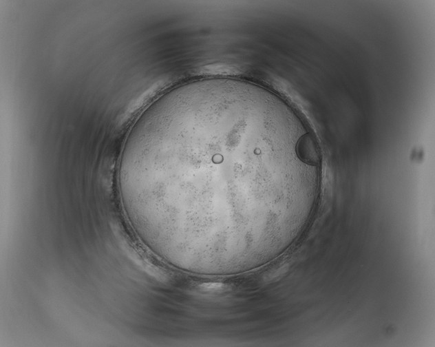 X0000111230153200907161325