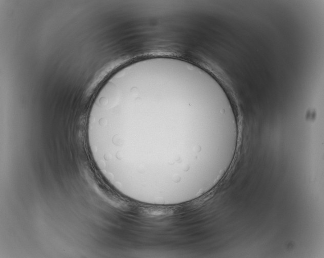 X0000111230155200907161325