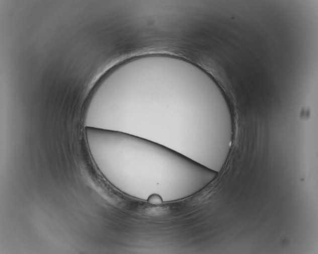 X0000111230156200907161325