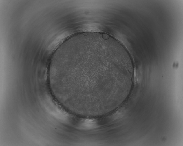 X0000111230157200907161325