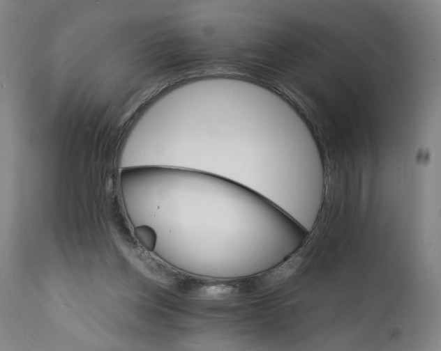 X0000111230158200907161325