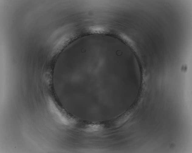 X0000111230161200907161325