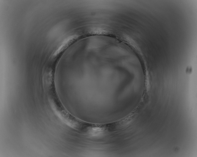 X0000111230163200907161325