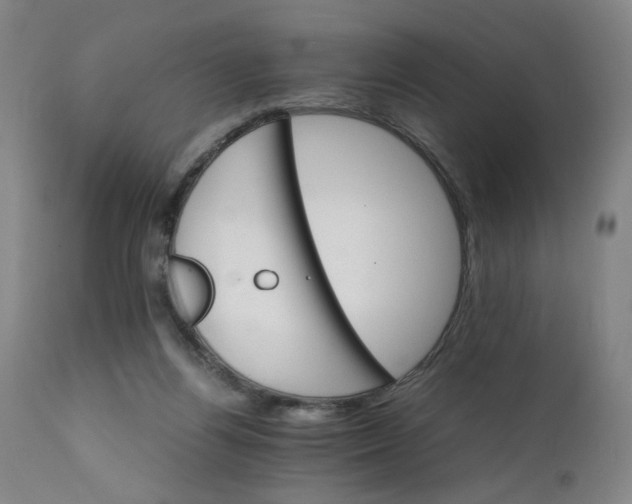 X0000111230164200907161325
