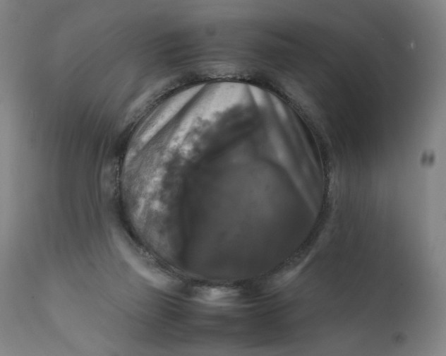 X0000111230165200907161325