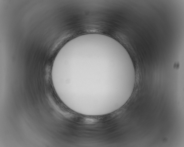 X0000111230167200907161325