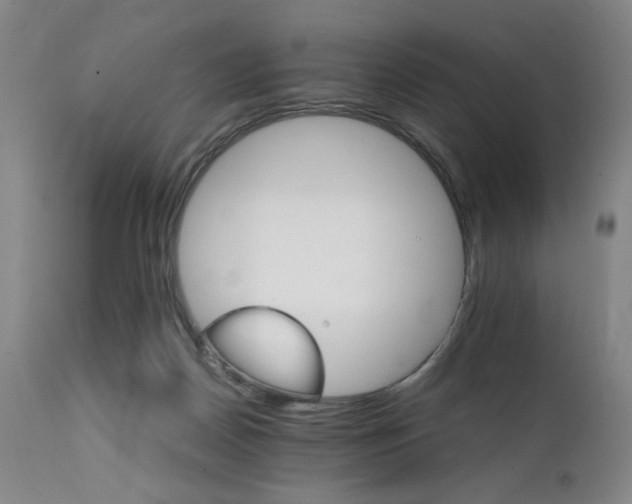 X0000111230170200907161325