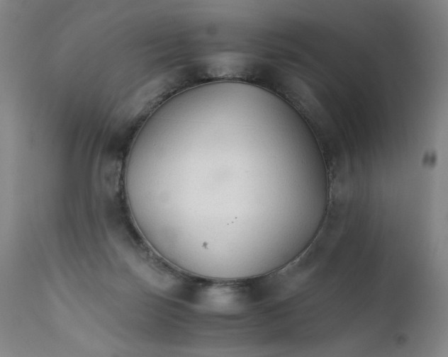 X0000111230171200907161325