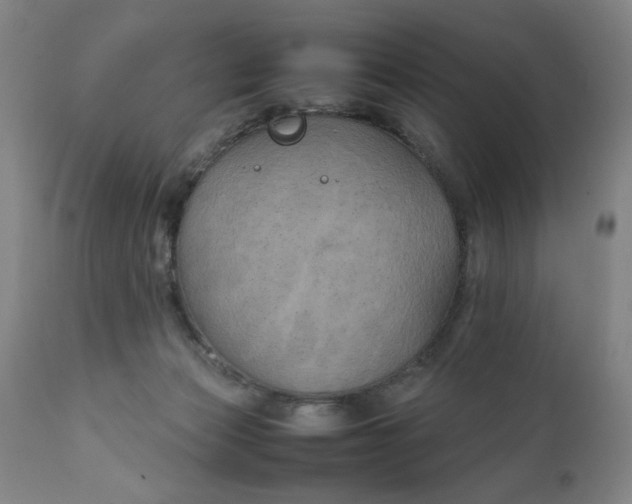 X0000111230173200907161325