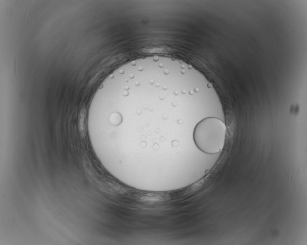 X0000111230175200907161325