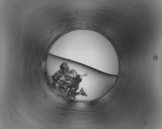 X0000111230176200907161325