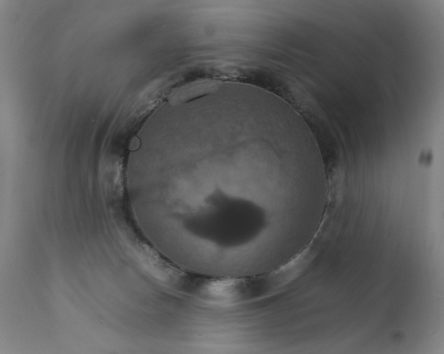 X0000111230178200907161325