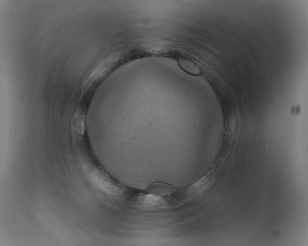 X0000111230180200907161325