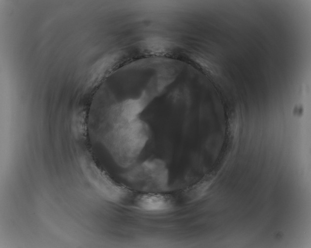 X0000111230181200907161325