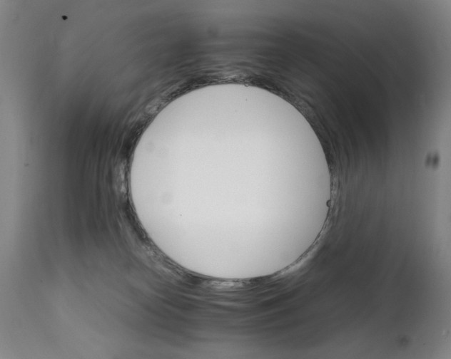 X0000111230182200907161325