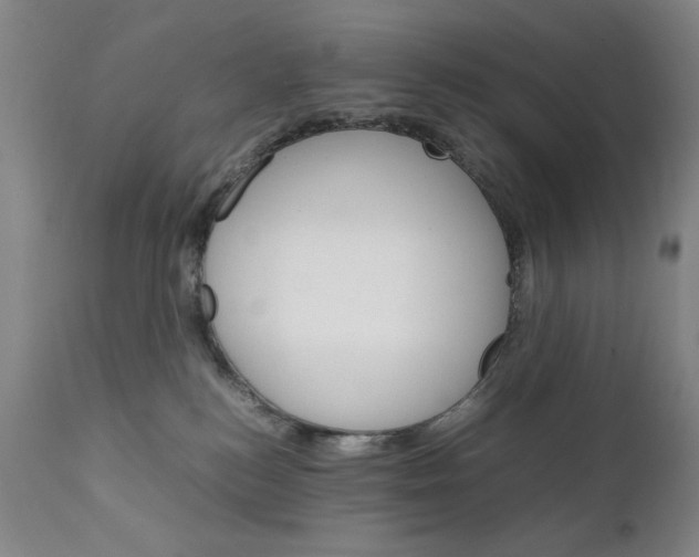 X0000111230184200907161326