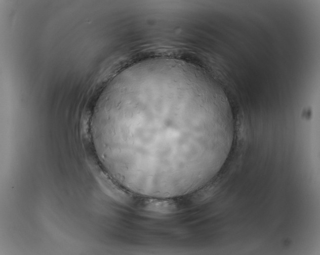 X0000111230185200907161326