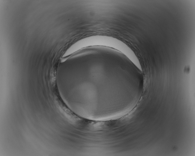 X0000111230186200907161326