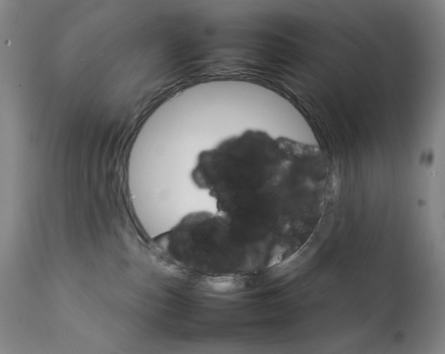 X0000111230187200907161326