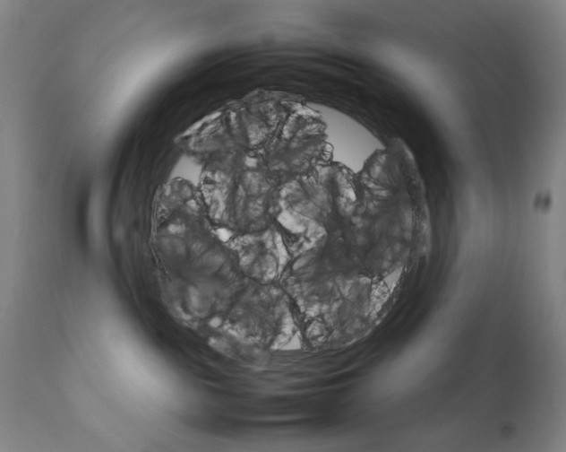 X0000111230189200907161326