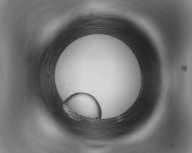 X0000111230190200907161326