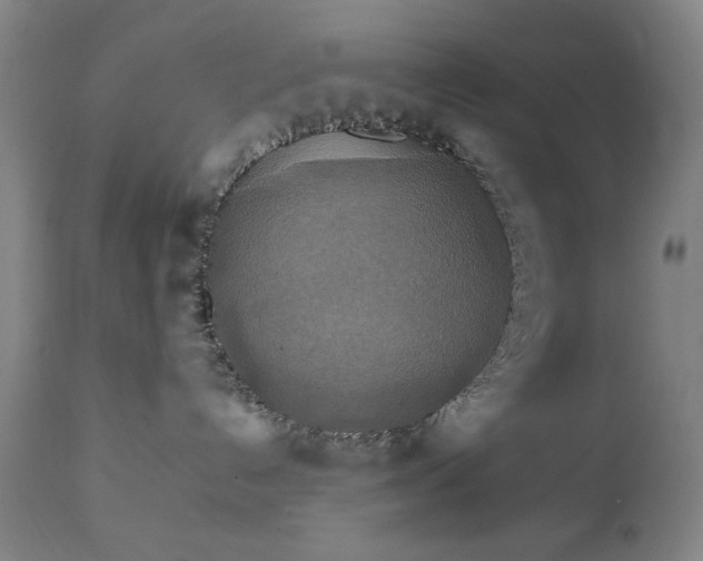 X0000111230192200907161326