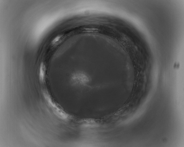 X0000111230194200907161325