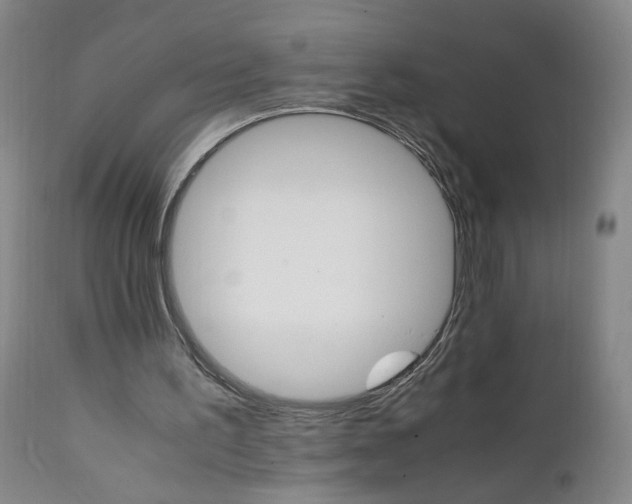 X0000111230195200907161325