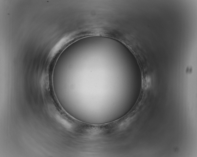 X0000111230198200907161325