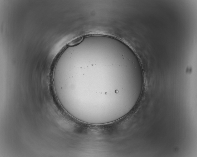 X0000111230199200907161325
