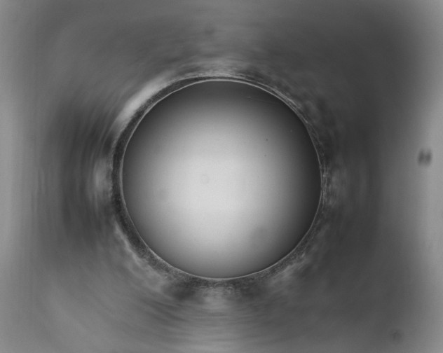 X0000111230200200907161325